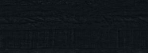 Edon Carbon