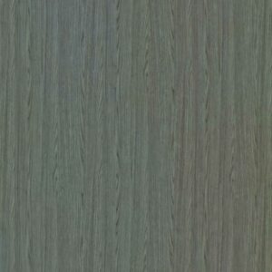 Olmo Grigio